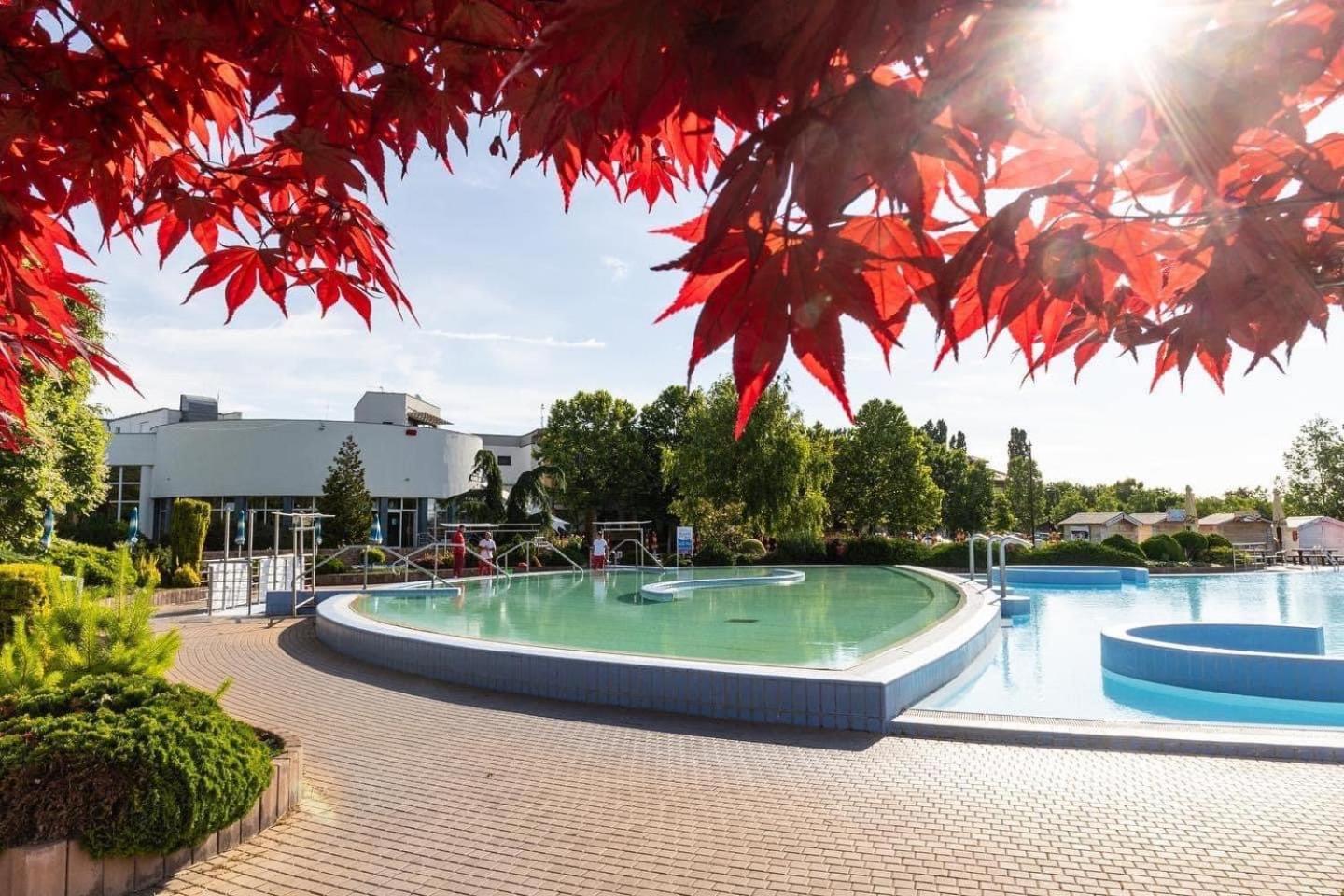 Dom Alex Pri Kupalisku Thermalpark Dunajská Streda Eksteriør billede